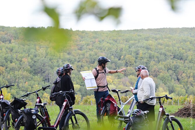 Guided tour of the Chablis Vineyards by e-bike - Inside the estate, from vat room to bottle