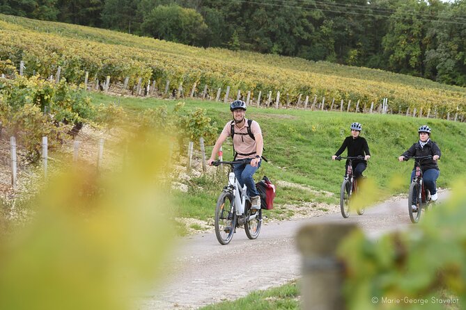 Guided tour of the Chablis Vineyards by e-bike - Tasting five to six wines in context