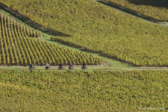 Guided tour of the Chablis Vineyards by e-bike - Who will get the most from this outing