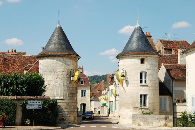 Guided tour of the Chablis Vineyards by e-bike - Gregory brings wine knowledge to the handlebars