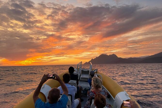 Half Day Boat Trip to Scandola Calanche de Piana - Is $84.69 a fair price?