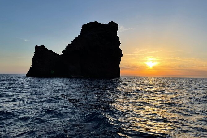 Half Day Boat Trip to Scandola Calanche de Piana - Who will enjoy this most