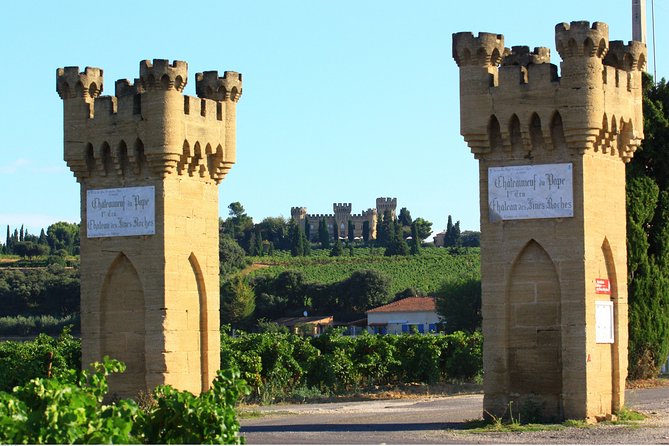 Half Day Great Vineyard Tour from Avignon - The scenery beyond the tasting rooms