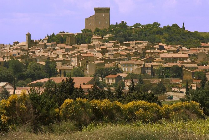 Half Day Great Vineyard Tour from Avignon - Who should book it