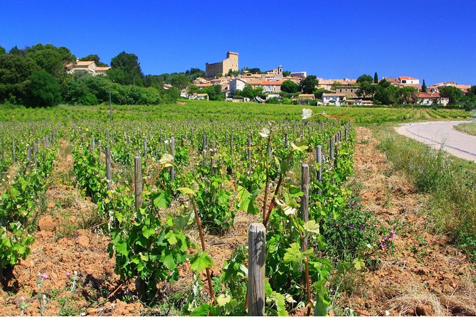 Half Day Great Vineyard Tour from Avignon - Practical tips for a better afternoon