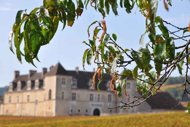 Half Day Tour of the Cote de Nuits Vineyards from Dijon - What This Côte de Nuits Afternoon Really Offers