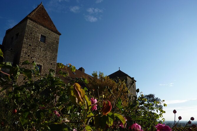Half Day Tour of the Cote de Nuits Vineyards from Dijon - Is $80 a Fair Price?