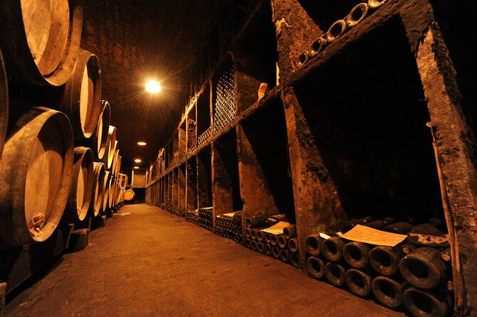 Half Day Tour of the Cote de Nuits Vineyards from Dijon - The Guides Make the Difference