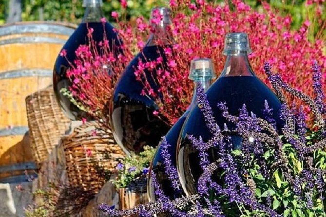 Half-Day Wine Tasting and Saint Paul de Vence Tour from Nice - The minivan, guide, and ride between stops