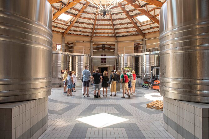 Half-Day Wine tour across Bordeaux’s Vineyards - The château visit explains what is in your glass