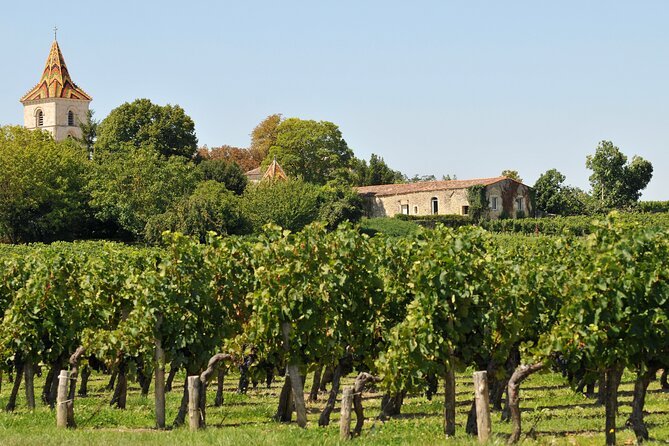 Half-Day Wine tour across Bordeaux’s Vineyards - What to bring and how to make the afternoon work