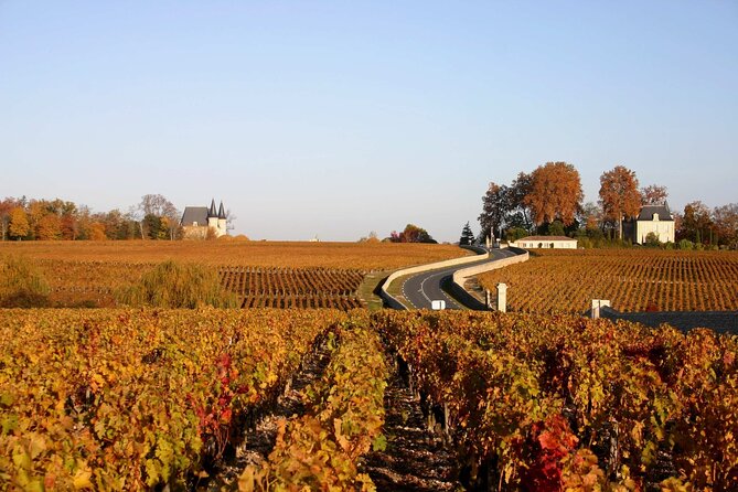 Half-Day Wine tour across Bordeaux’s Vineyards - Who will enjoy this Bordeaux wine tour most?