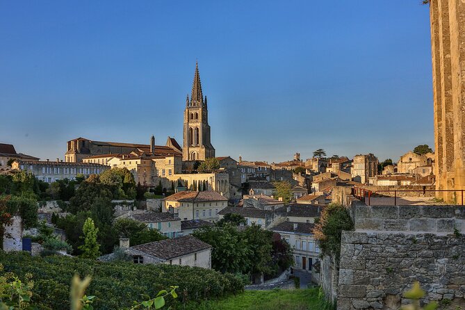 Half-Day Wine tour across Bordeaux’s Vineyards - Should you book this half-day Bordeaux tour?