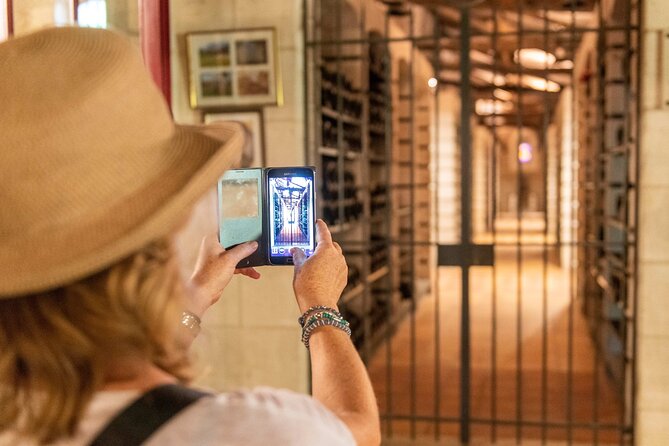 Half-Day Wine tour across Bordeaux’s Vineyards - The bilingual format is useful, but it slows the pace