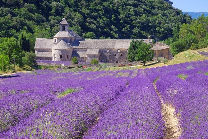 Highlights of Provence in one day - Why This Route Works From Avignon