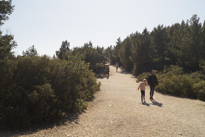 Hiking in the Calanques National park from Marseille - The descent toward Sugiton