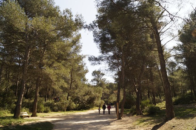 Hiking in the Calanques National park from Marseille - A picnic with a Mediterranean pause