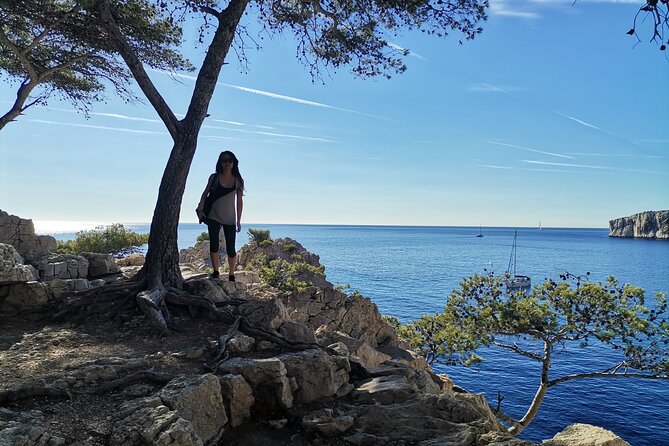 Hiking in the Calanques National park from Marseille - Meeting at Luminy, beside the Calanques