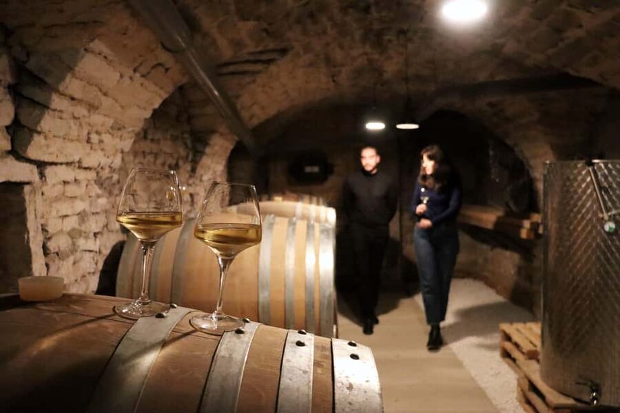 Historic Center of Dijon : Discovery Tasting Wine Burgundy - Starting at 32 Rue Berbisey in Dijon