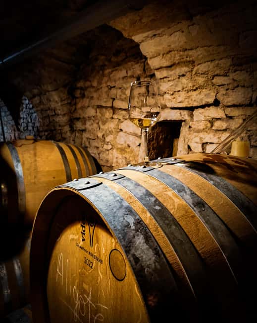 Historic Center of Dijon : Discovery Tasting Wine Burgundy - Why the Crémant and gougère matter