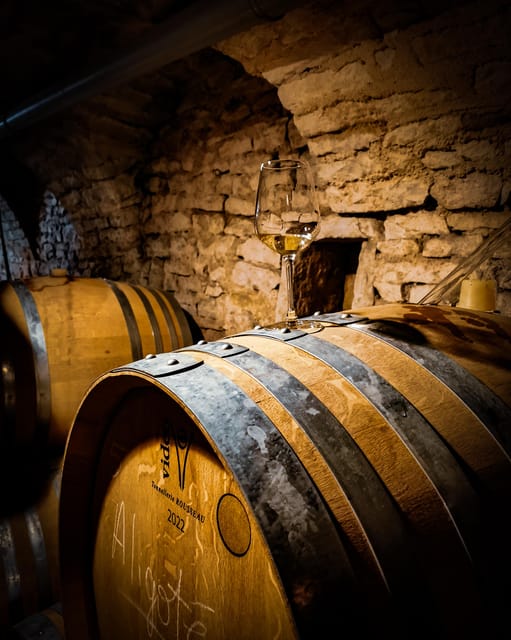 Historic Center of Dijon : Discovery Tasting Wine Burgundy - Who will enjoy this Dijon tasting?