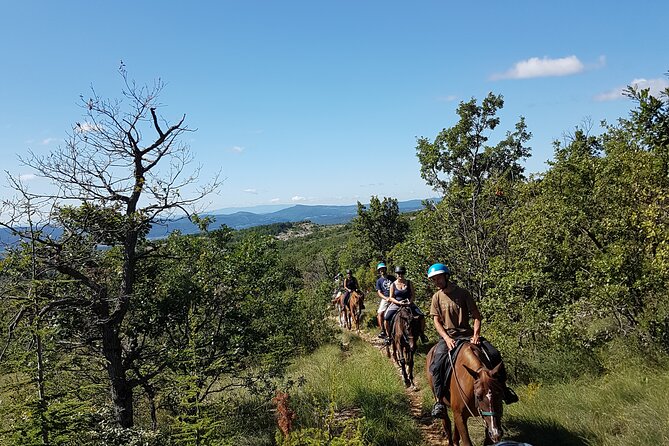 Horse ride in Haute Provence Luberon and Forcalquier - What the $80.46 price buys you