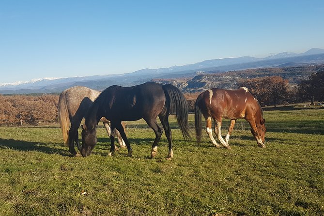 Horse ride in Haute Provence Luberon and Forcalquier - Timing, clothing, and weather