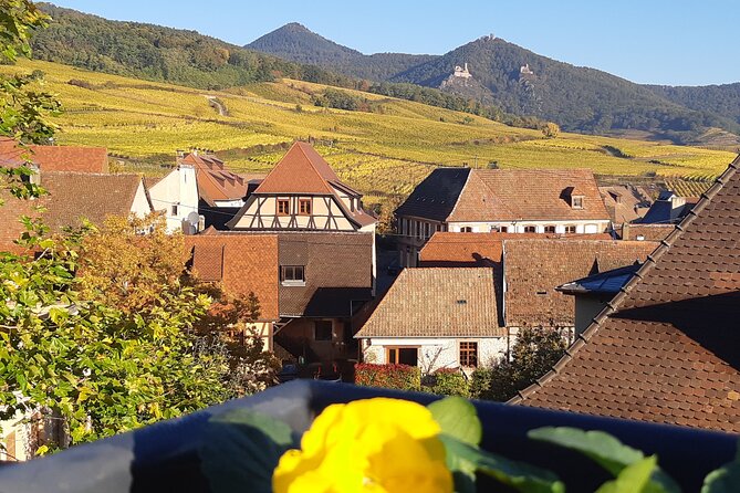 ICONICS Tour: 1/2 day on the Wine Route, visit of 2 Villages + Tasting. - Why this half-day works from Colmar