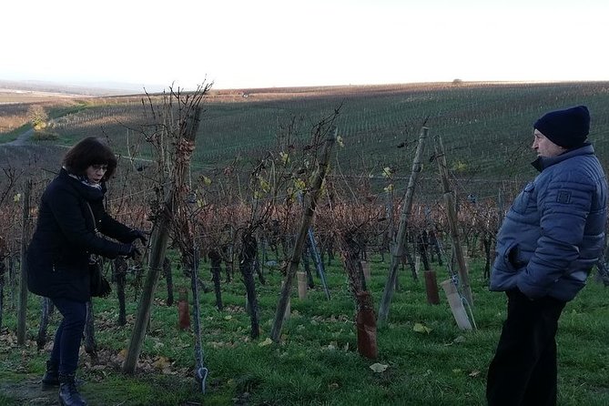 ICONICS Tour: 1/2 day on the Wine Route, visit of 2 Villages + Tasting. - Following the Alsace Wine Route