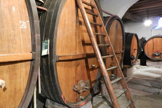 ICONICS Tour: 1/2 day on the Wine Route, visit of 2 Villages + Tasting. - A family cellar and a serious tasting