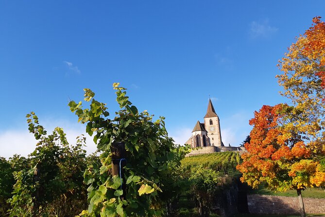 ICONICS Tour: 1/2 day on the Wine Route, visit of 2 Villages + Tasting. - Who will get the most from this tour