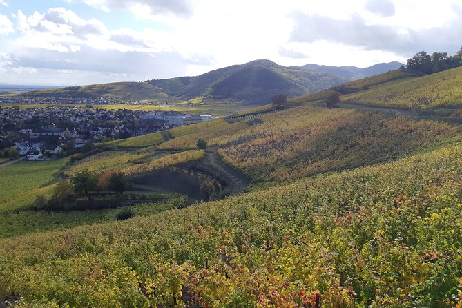 ICONICS Tour: 1/2 day on the Wine Route, visit of 2 Villages + Tasting. - Meeting point, timing, and cancellation