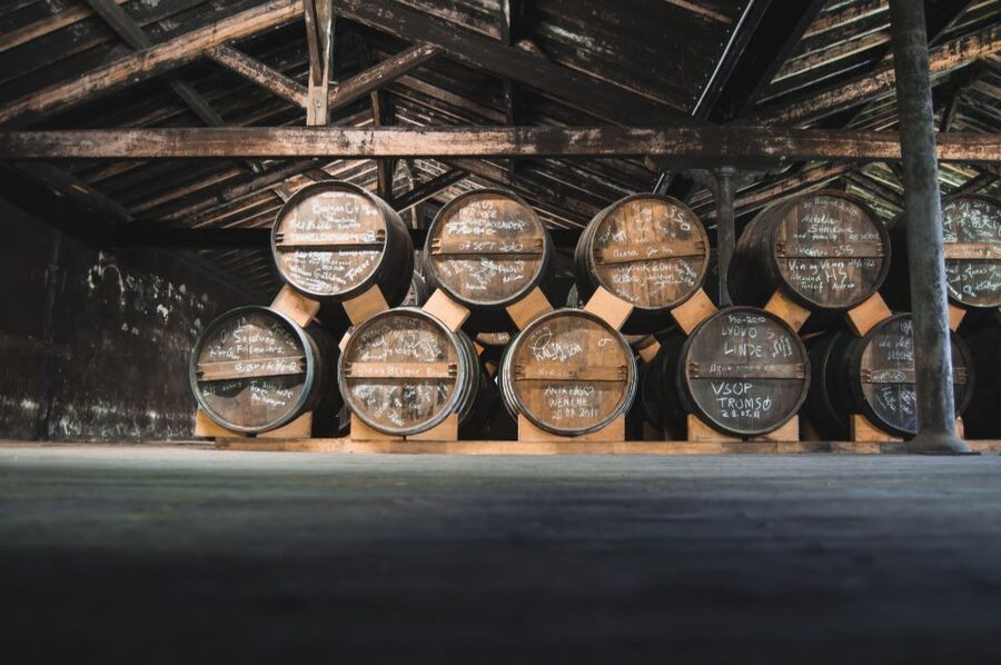 Jarnac: Braastad cognac prestige visit - Following cognac from grapes to wine