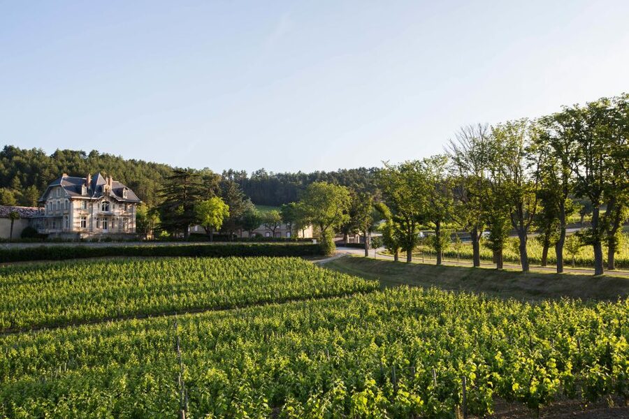 Languedoc: Tour and Tasting at Domaine de Baronarques - A Languedoc estate with a long paper trail