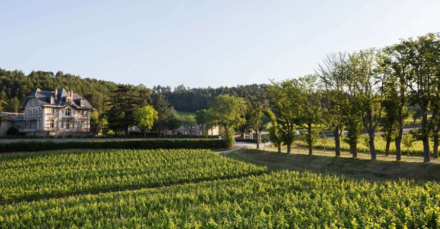 Languedoc: Tour and Tasting at Domaine de Baronarques - What happens during the one-hour visit