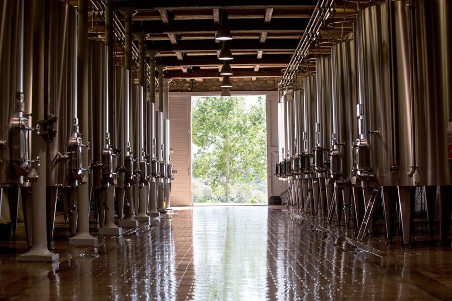Languedoc: Tour and Tasting at Domaine de Baronarques - Final call: book it if transport is sorted
