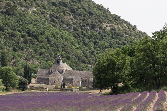 Lavender in Luberon Small Group Half-Day Trip - What this half-day trip is really designed to do