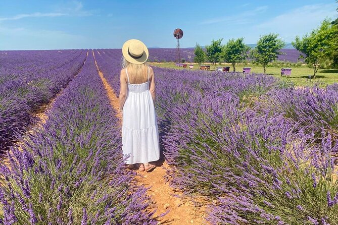 Lavender in Luberon Small Group Half-Day Trip - The guides can shape the entire day