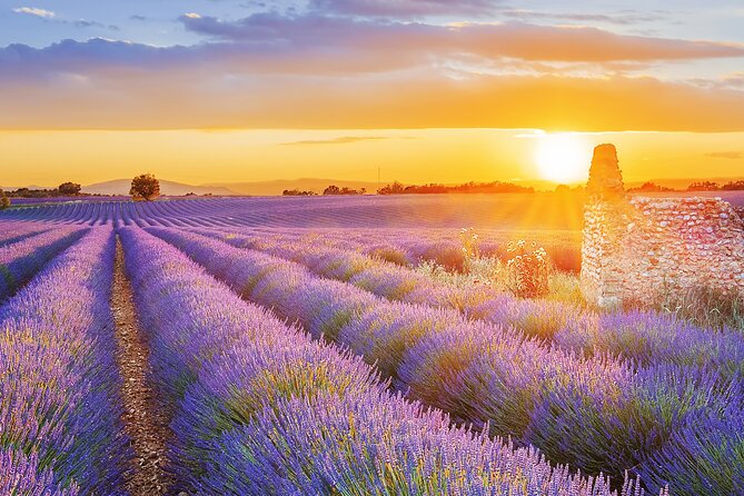 Lavender Route - Small-Group Day Trip from Avignon - What you are paying for at $127.92