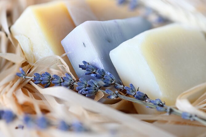 Lavender Route - Small-Group Day Trip from Avignon - Who will enjoy this Provence day trip