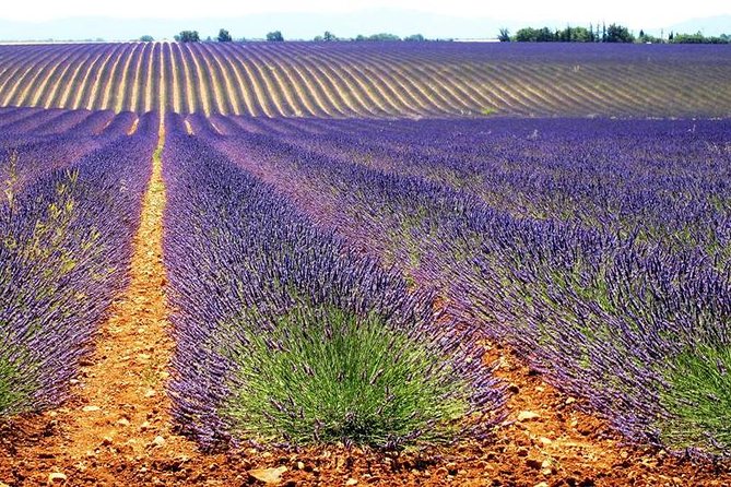 Lavender Small-Group Tour In Valensole from Marseille - Afternoon views at Lac Sainte-Croix