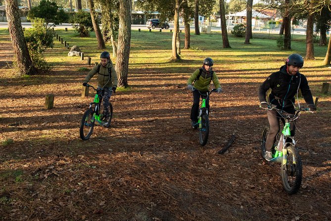 Leisure ride on an electric scooter - Who will enjoy this ride most