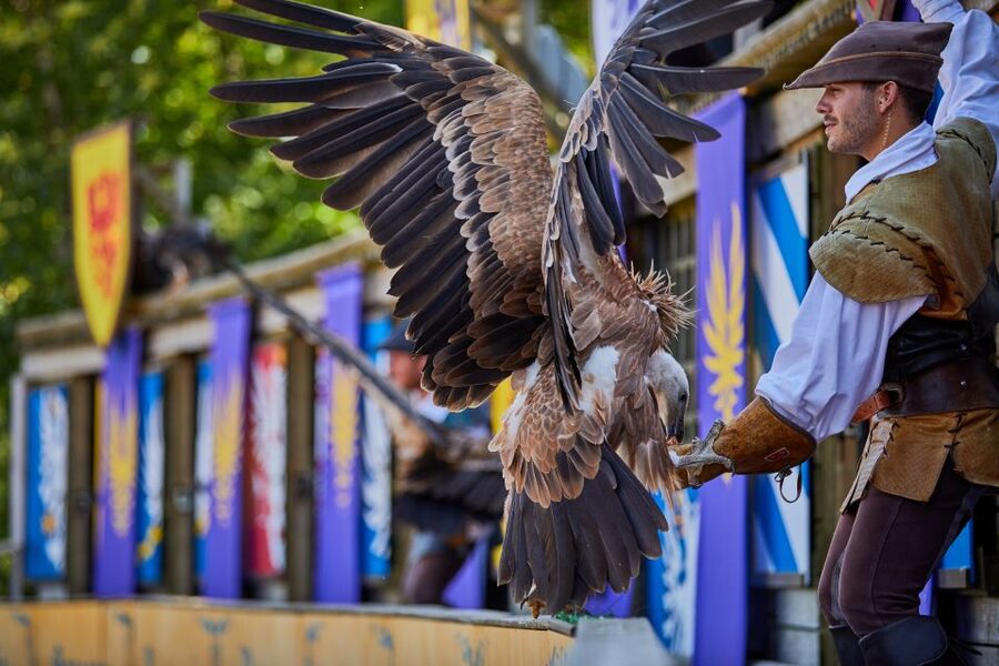 Les Epesses: Puy du Fou Theme Park 1-Day Entry Ticket - How to handle crowds and seating