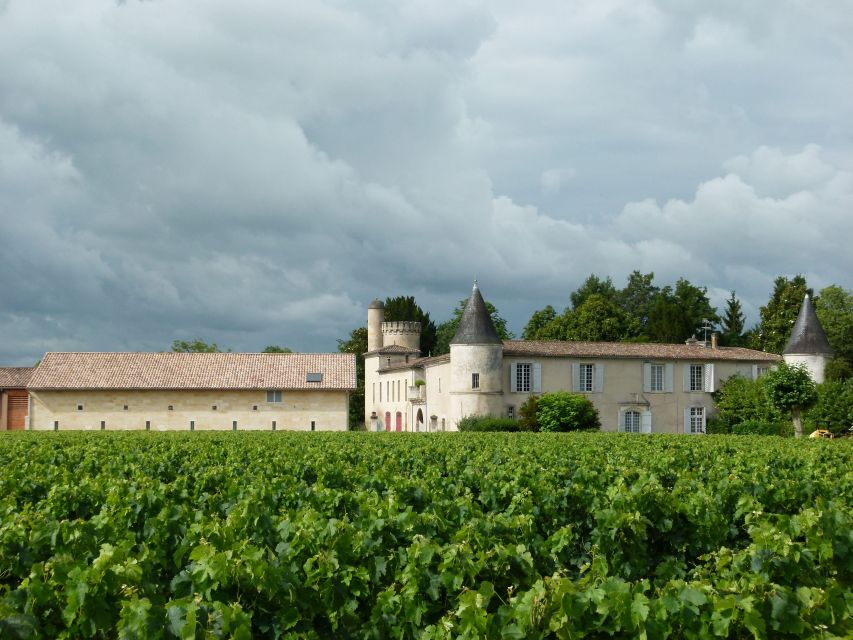 Libourne: Winery Tour with Wine and Chocolate Tasting - Three dark chocolates from Libourne