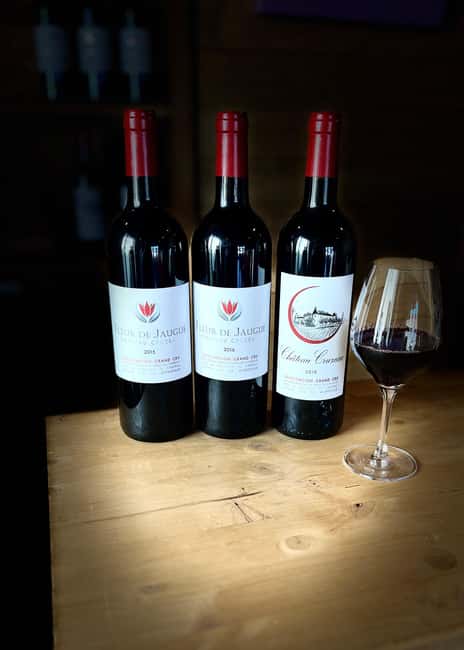 Libourne: Winery Tour with Wine and Chocolate Tasting - What the $21 price gets you