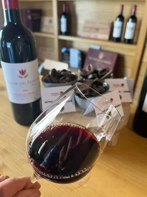 Libourne: Winery Tour with Wine and Chocolate Tasting - Walking the vines and reading the soil