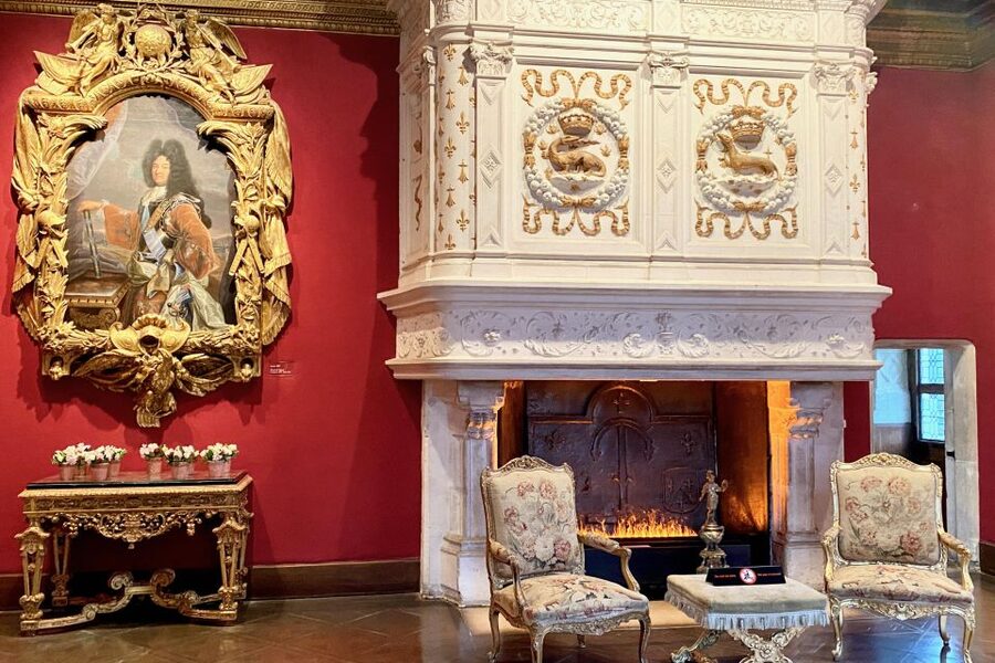 Loire Valley Castles: Chenonceau, Amboise & Da Vinci Trip - Amboise for lunch and a royal castle