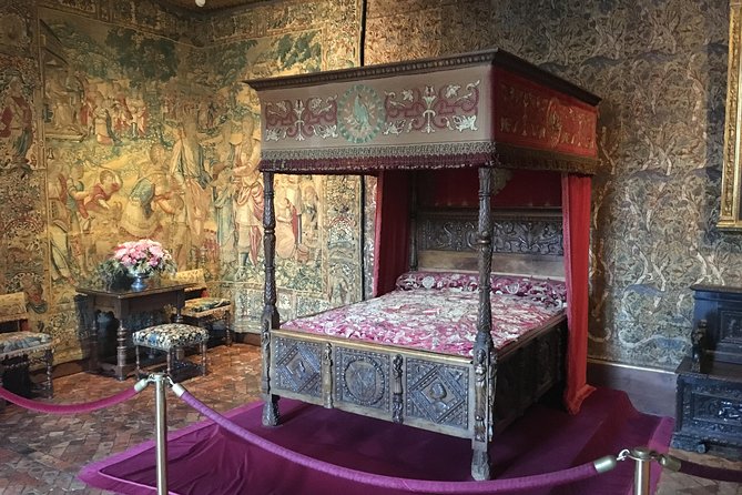 Loire Valley Castles VIP Private Tour: Chambord, Chenonceaux, Amboise - Who should book this Loire Valley tour