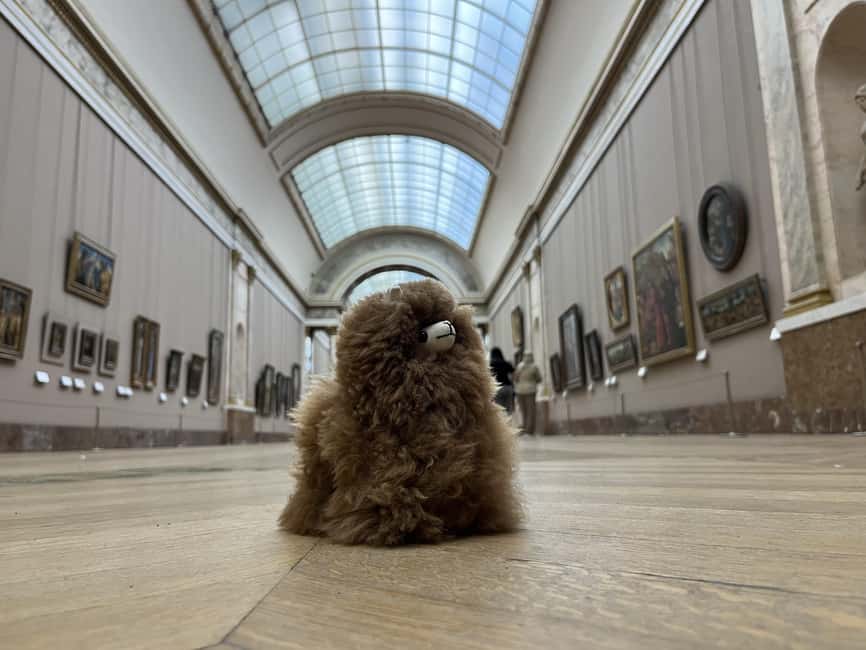Louvre Museum Entry Ticket and Private Guided Tour - Key points to know before booking
