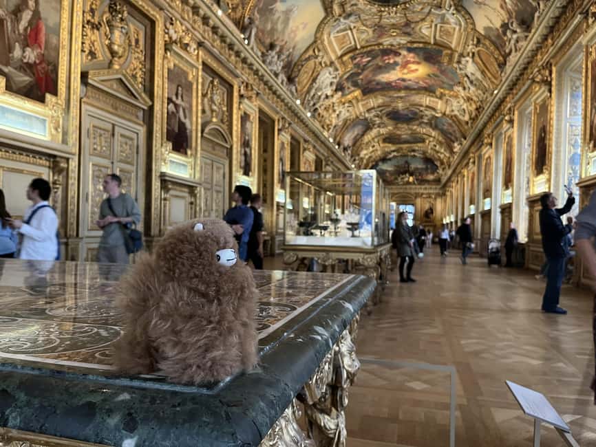 Louvre Museum Entry Ticket and Private Guided Tour - Guides who can adjust to your group